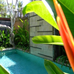 Ahimsa Beach - Bild 17