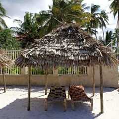 Pwani Beach Hotel & Apartments in Pwani Mchangani, Tanzania from 204$, photos, reviews - zenhotels.com photo 45