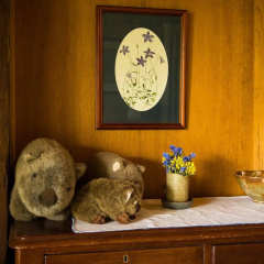 The Burrow At Wombat Bend thumbnail 11