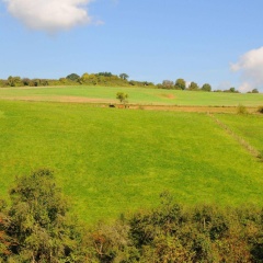 Landgasthof Germania - Bild 6