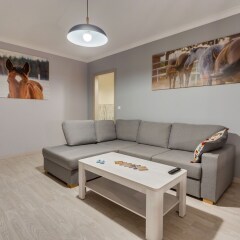 Отель Penguin Apartments Downtown Польша, Вроцлав - отзывы, цены и фото номеров - забронировать отель Penguin Apartments Downtown онлайн фото 29