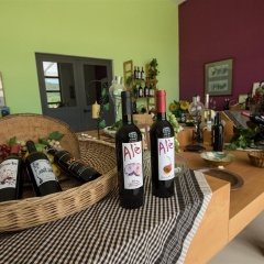 Hotel Rural Can Feliu - Bild 12