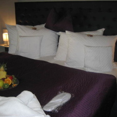 Hotel Ambassador-berlin Grvºnau - Bild 3