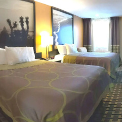 Platinum Inn & Suites Willowbrook Houston thumbnail 7