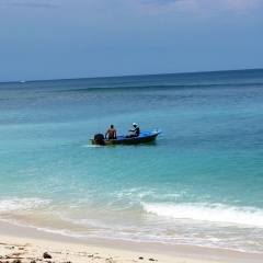 Jawa Jiwa Sanctuary - Bild 7