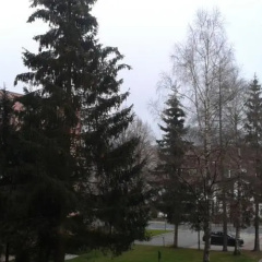Ferienwohnung Altenau - Bild 7