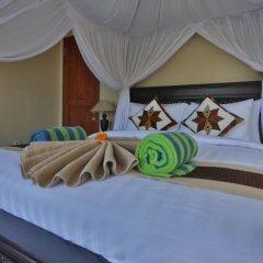 Bali Ubud Villa View - Bild 1
