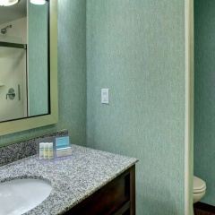 Hampton Inn & Suites Coconut Creek thumbnail 7