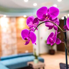 Abitta Boutique Hotel, Ascend Hotel Collection in Santurce, Puerto Rico from 192$, photos, reviews - zenhotels.com photo 27