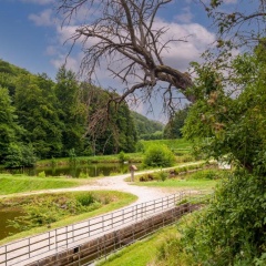 Zum Klosterfischer - Bild 8