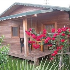 Çirali Almira Bungalow - Bild 11