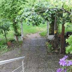 Ferienwohnung Nr. 3 - Bild 7
