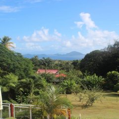 Koulaya Tona Guest House in Basse-Terre, France from 127$, photos, reviews - zenhotels.com photo 14