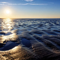 Beach House Langeoog - Bild 11