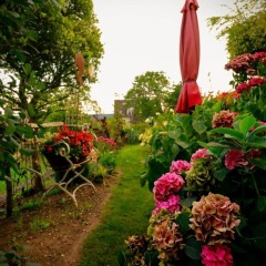 Haus Buena Vista - Bild 9