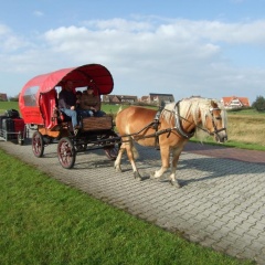 Naturhotel Baltrum - Bild 7