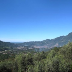 Bettamauro (CMA118) photo 2