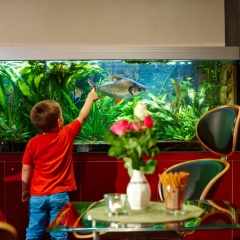 Hotel Concorde München - Bild 13