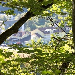 Gasthof Hotel Zur Post - Bild 12