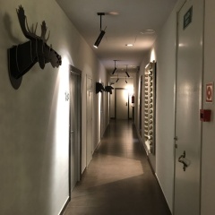 Triunfo - Bild 9