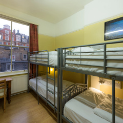 Dolphin Inn - Bild 2
