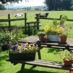 Yew Tree Farm thumbnail 22