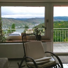 Schau-Rhein#1 - On top of Bacharach, Rhineview - Bild 3
