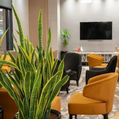 Dedeman Adana - Bild 19