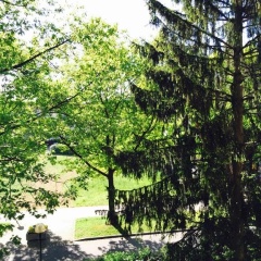 Landhaus Strangmüller - Bild 6