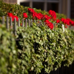 The Chesterfield Mayfair - Bild 21