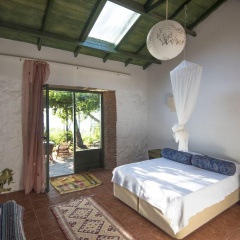 Faralya Botanica - Bild 2