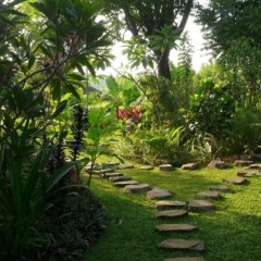 Sananda Bungalow - Bild 2