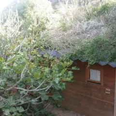 Surf N Sand Hostel thumbnail 4