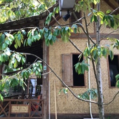 Didu's Homestay Bed & Breakfast - Bild 1