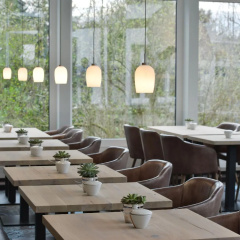 Hotel UHU Garni Köln - Bild 13