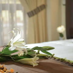 Tecte Guest House thumbnail 18