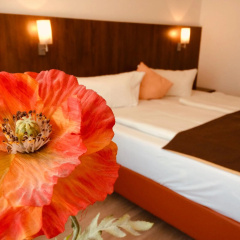 Hotel Triton - Bild 5