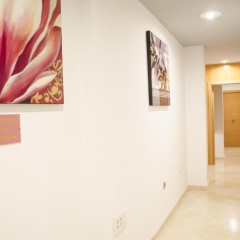 Hotel Duquesa - Bild 12