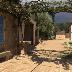 Cosy Finca Son Julia with pool near Porreres - Bild 4