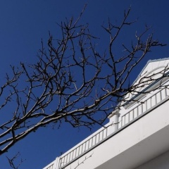 Hotel Aquamarin - Bild 1
