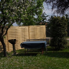 Ferienappartements am Sund - Bild 11