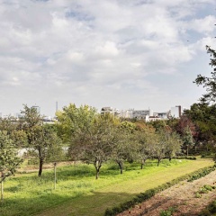 Domaine de la Reine Margot Paris-Issy - MGallery Collection - Bild 20