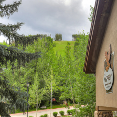 The Osprey at Beaver Creek, a RockResort, by Vail Resorts thumbnail 17