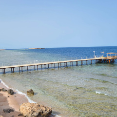 Viva Blue Resort and Diving Sharm El Naga (Adults Only) - Bild 28