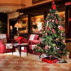 Ruzzini Palace Hotel - Bild 24