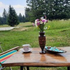Holiday Home Klara in Zabljak, Montenegro from 122$, photos, reviews - zenhotels.com