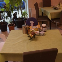 Pension im Glück Thale - Bild 21