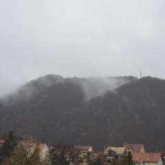 Pension im Glück Thale - Bild 12