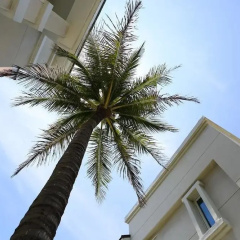 Taroko Bay B&B thumbnail 1