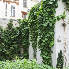 Quentin Design Hotel Berlin - Bild 1